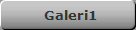 Galeri1