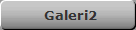 Galeri2