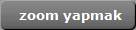 zoom yapmak