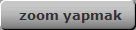 zoom yapmak
